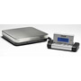 Acculab SVI-Series Bench Scale (small platform)