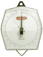 Avery Berkel Model 235-10S ABS Hanging Scale - Click Image to Close