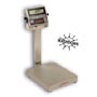 Detecto EB-204 Series Stainless Steel Bench Scales