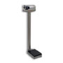Detecto Stainless Steel Mechanical Column Scales