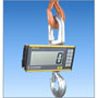 Eilon RON 2150 (Hook) Crane Scale (Removable Display)