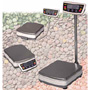 IWT PM Series Portable Bench Scales