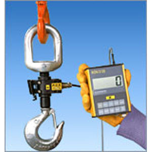 Eilon RON 2125 (Hook) Crane Scale (Removable Display) - Click Image to Close