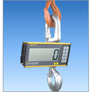 Eilon RON 2150 (Hook) Crane Scale (Removable Display) - Click Image to Close