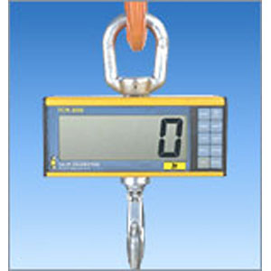 Eilon RON 3050 Low Headroom Crane Scale - Click Image to Close