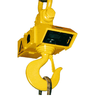 Holtgreven Allegany 1020 Series Crane Scales - Click Image to Close