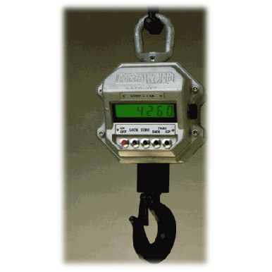 Holtgreven MSI-4260 Port-A-Weigh Crane Scales - Click Image to Close