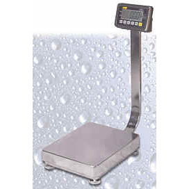 IWT FS Series Stainless Steel Washdown Bench & Platform Scales - Click Image to Close