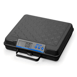 Salter Brecknell Model GP100 / GP250 Bench Scales - Click Image to Close