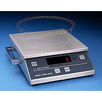 Scale-Tronix 4302 Series Organ/Tissue Scales - Click Image to Close