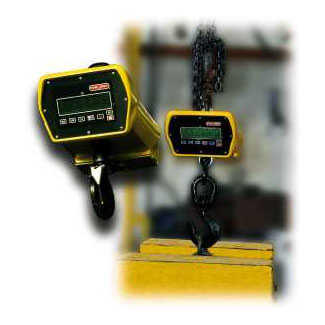 Tor-rey CRQ Series Crane Scales - Click Image to Close