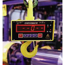 Vishay SI Technologies Checkmate Crane Scale - Click Image to Close