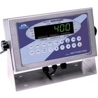 Salter Brecknell Neptune 6500 Digital Indicator