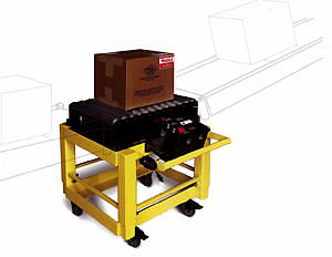 Triner In-Line Feeder Scale