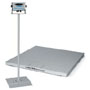 Salter Brecknell Pegasus Floor Scale Systems