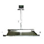 Sterling Scale Animal Weighing Scale