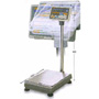 IWT NBK/NFK Series Checkweighing Scales