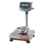 Ohaus Champ II Bench Scales