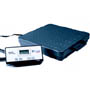 Salter Brecknell SPC Series Bench Scales